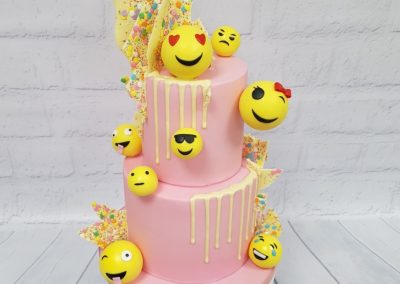 Birthday Cake - Emoji style with white chocolate shard header